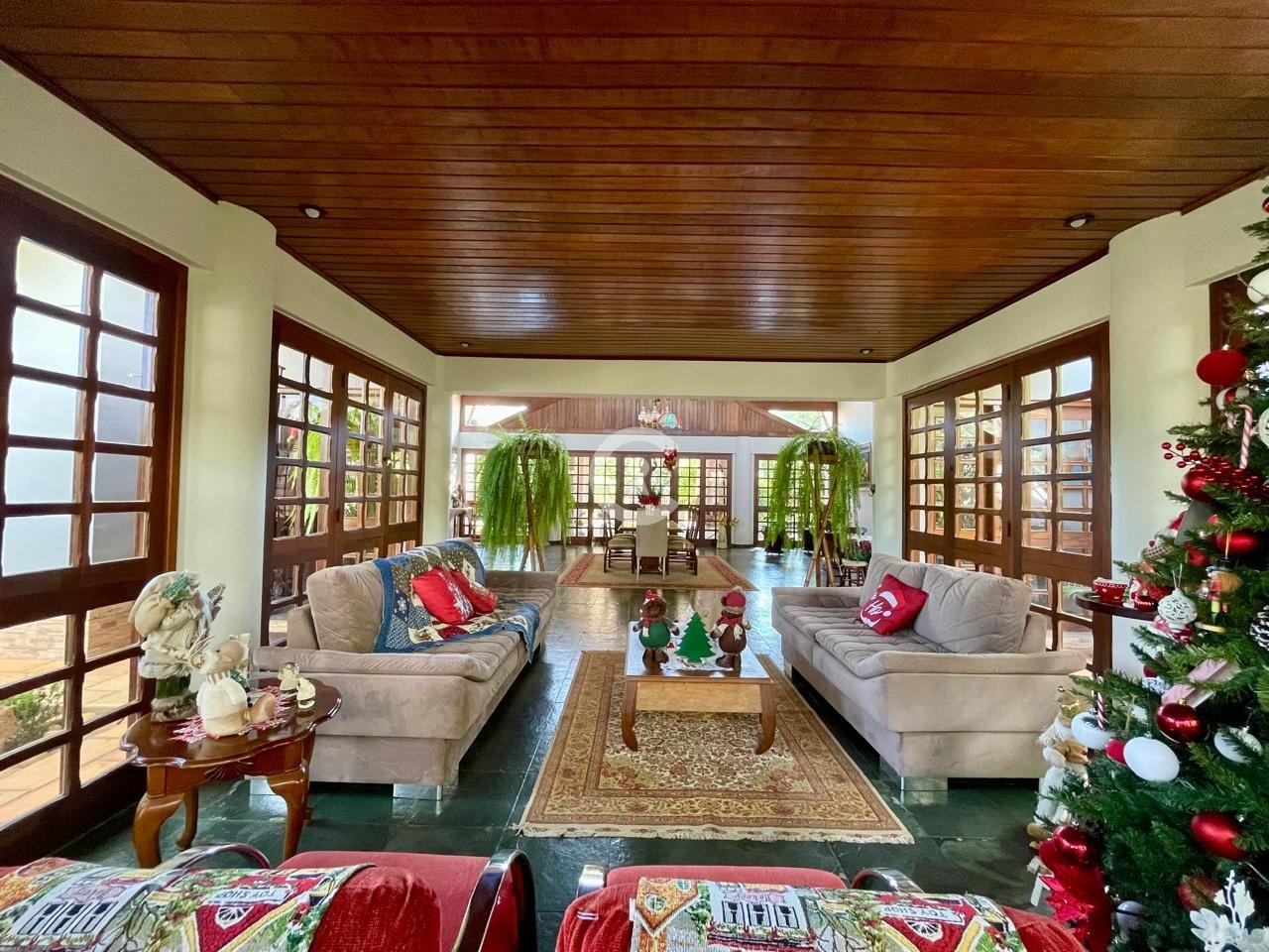 Imagem da propriedade 18