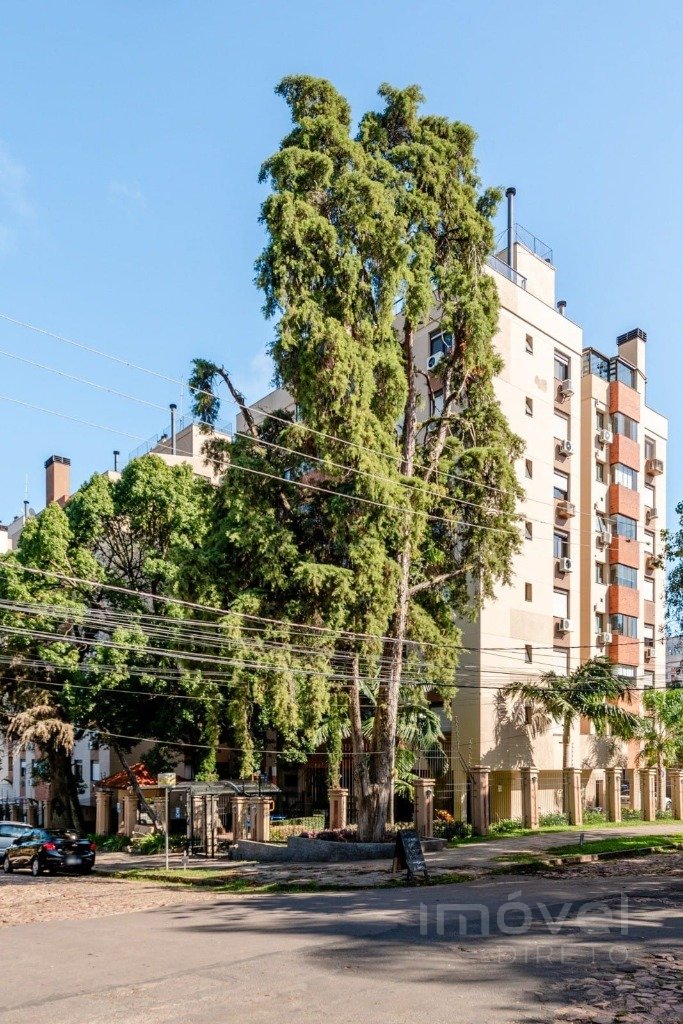 Imagem da propriedade 16