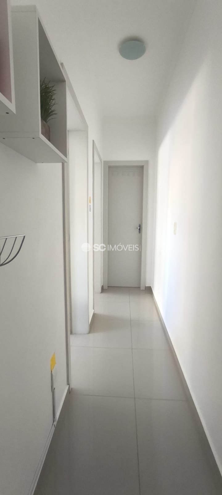 Imagem da propriedade 11