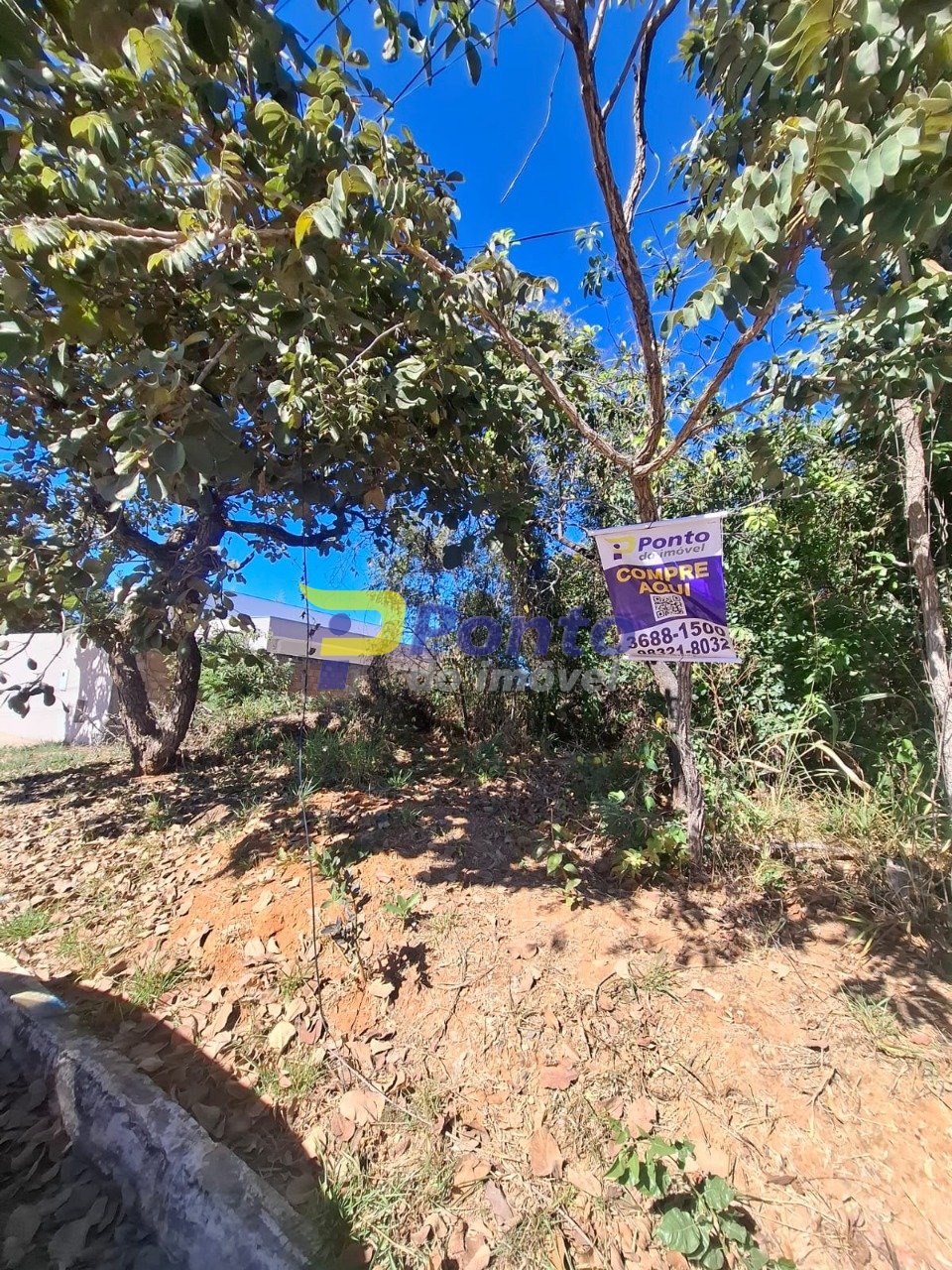 Imagem da propriedade 12061 4
