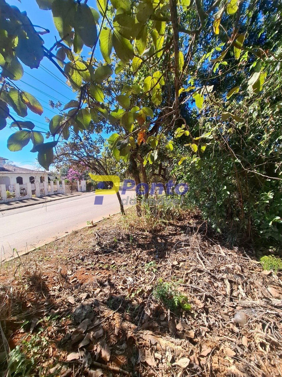 Imagem da propriedade 12061 6
