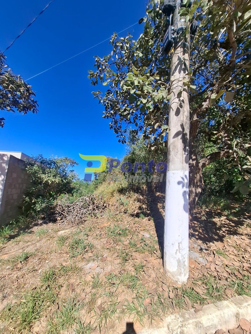 Imagem da propriedade 12061 9