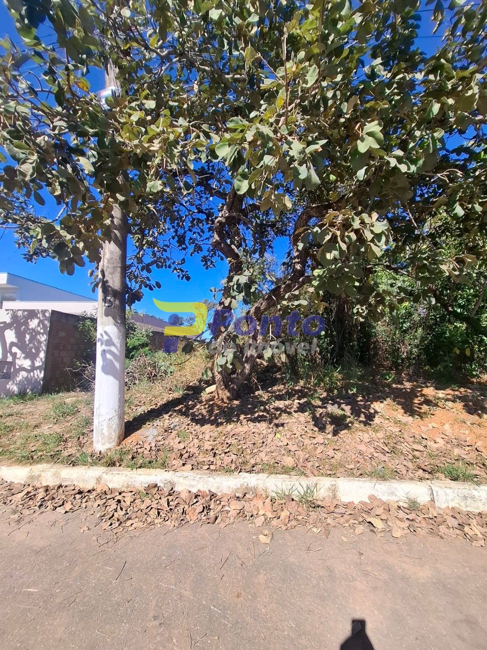 Imagem da propriedade 12061 10