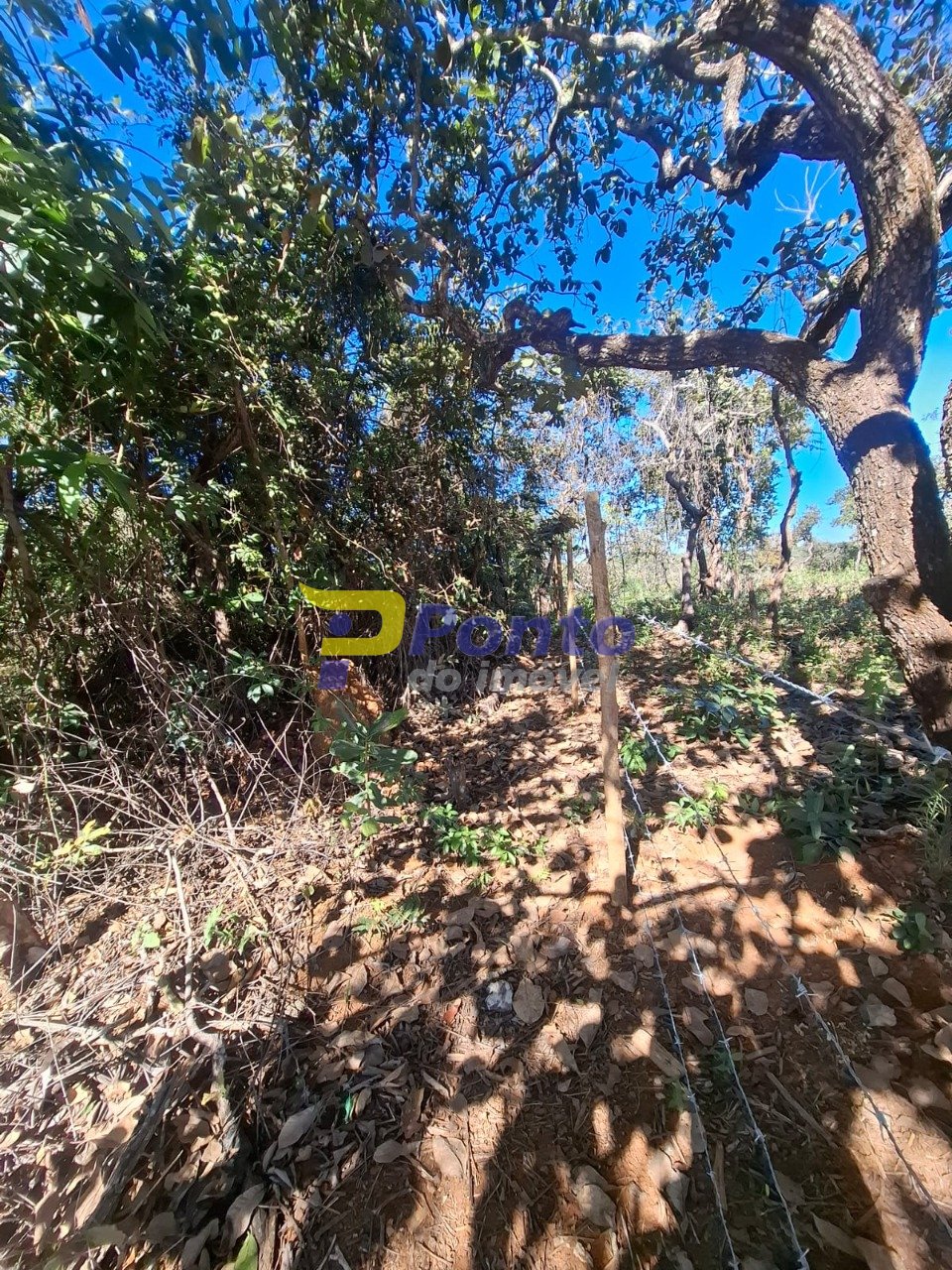 Imagem da propriedade 12061 11