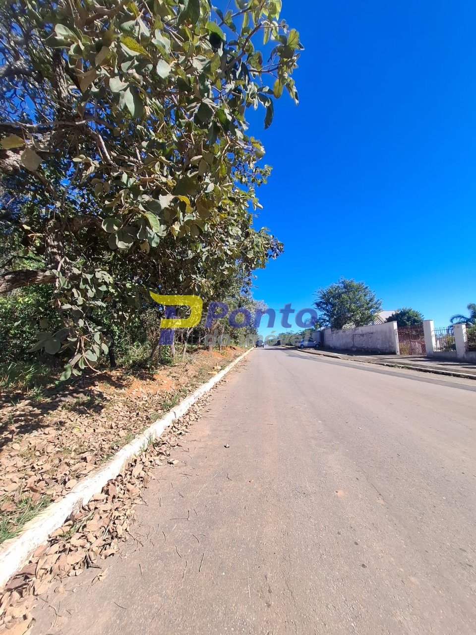 Imagem da propriedade 12061 14