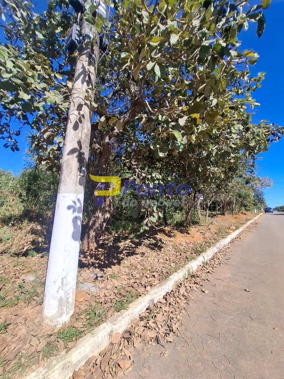 Imagem da propriedade 12061 15