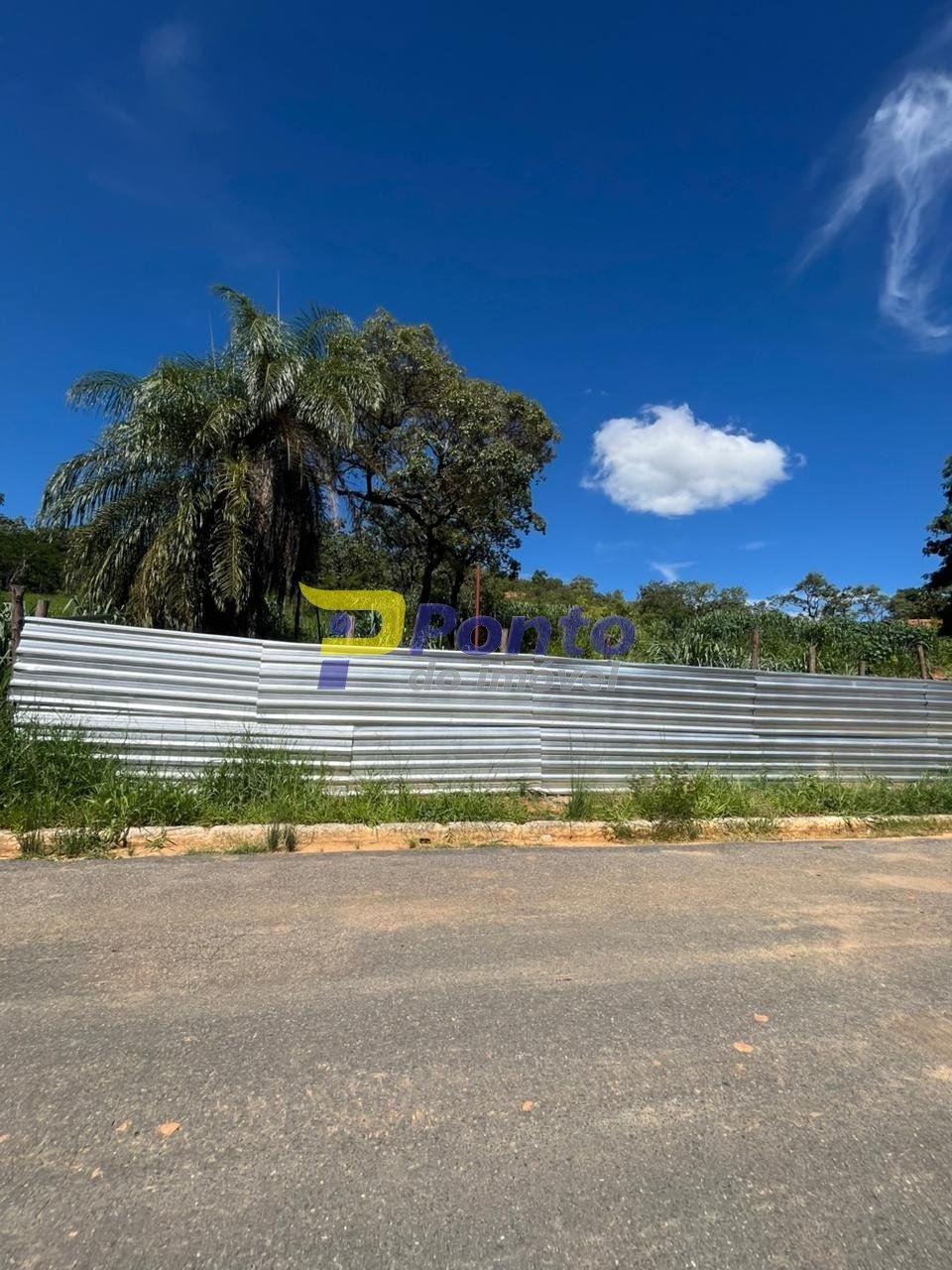 Imagem da propriedade PI5631 3