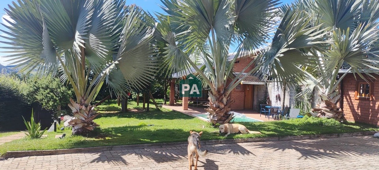 Imagem da propriedade 16