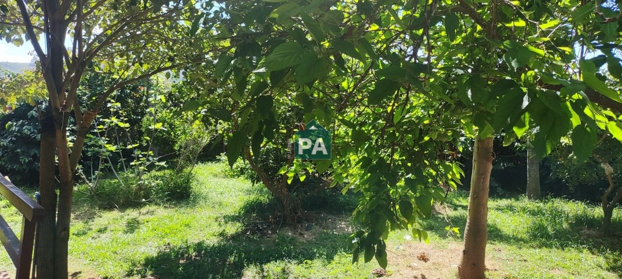 Imagem da propriedade 31