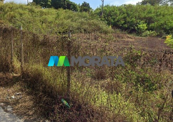 Imagem da propriedade 4