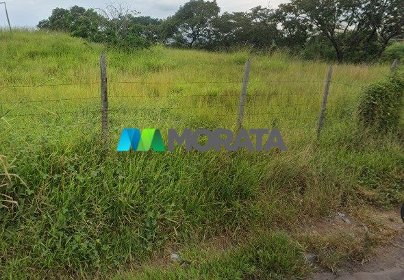 Imagem da propriedade 8