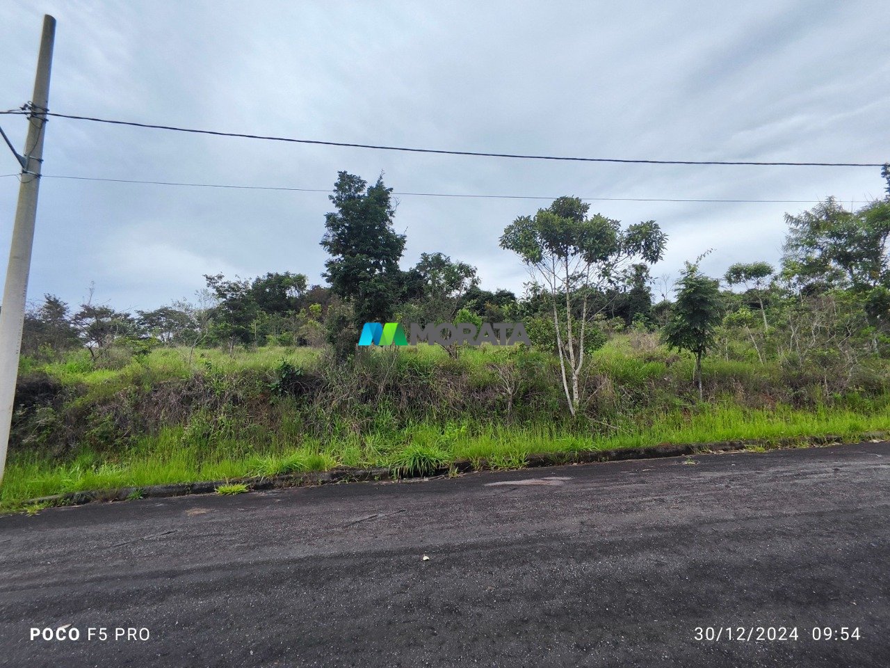 Imagem da propriedade 11