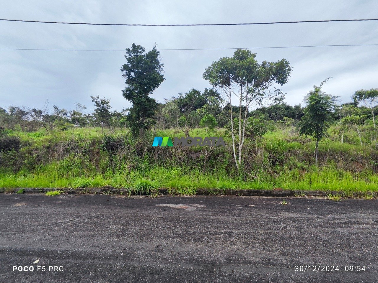 Imagem da propriedade 9