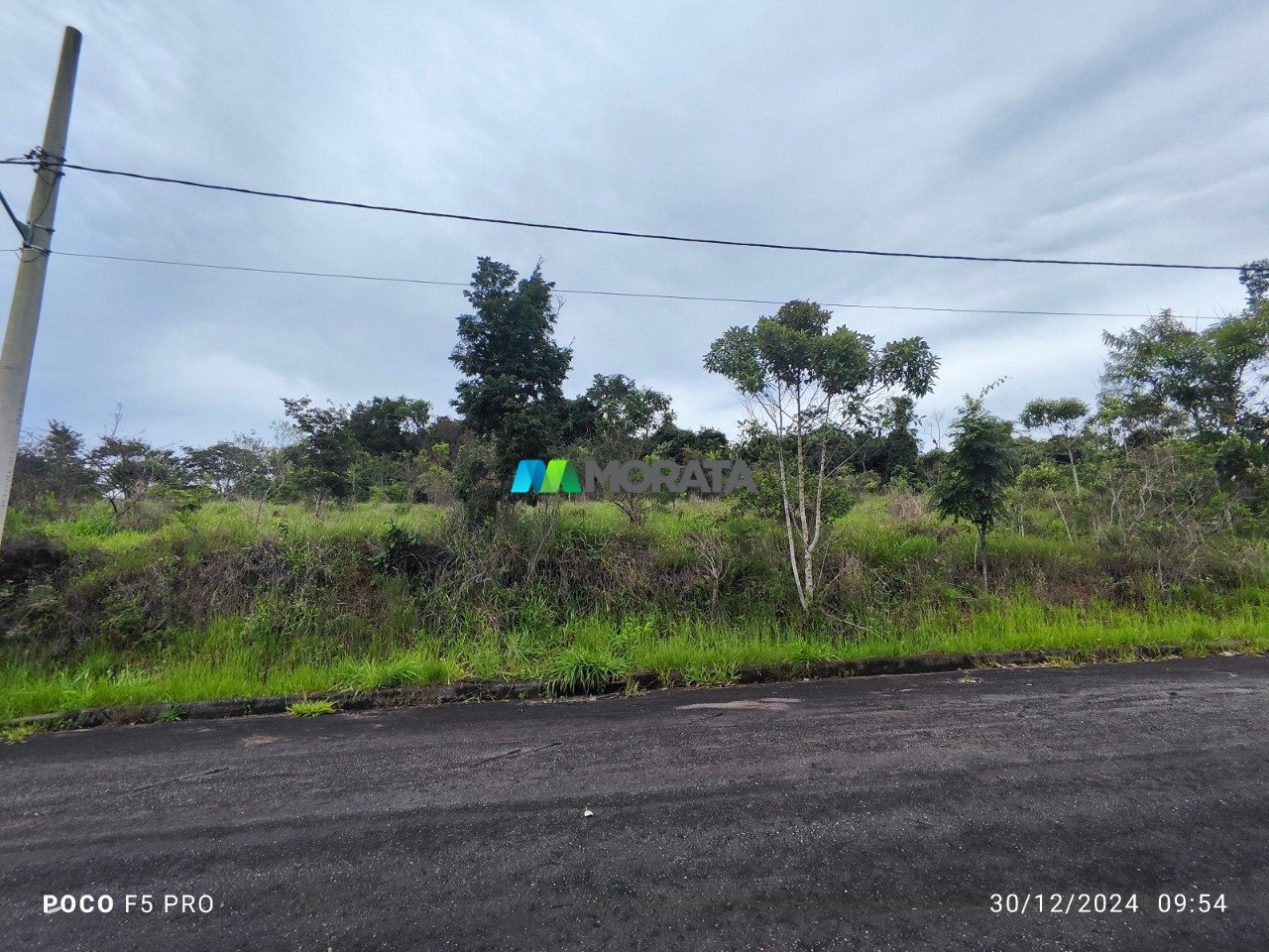 Imagem da propriedade 8