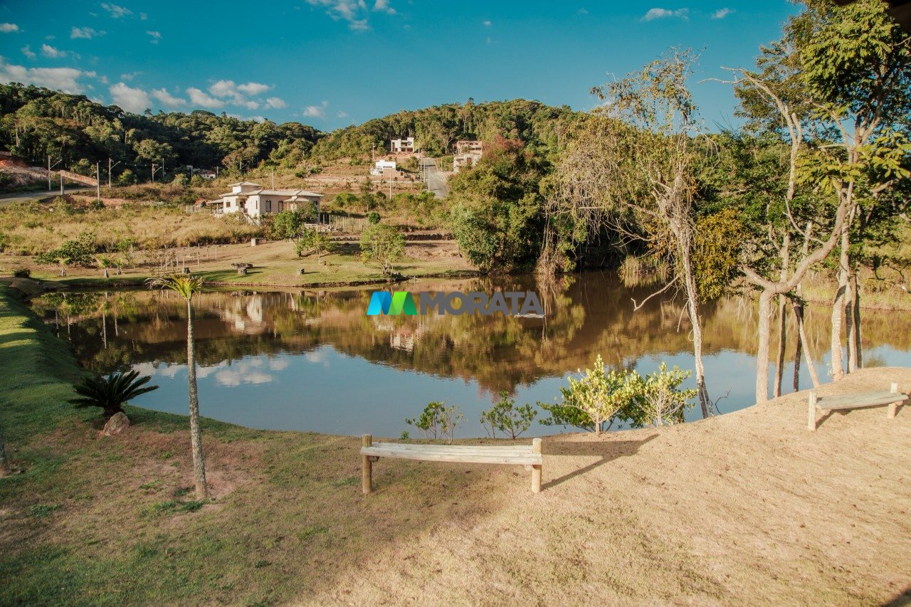 Imagem da propriedade 3