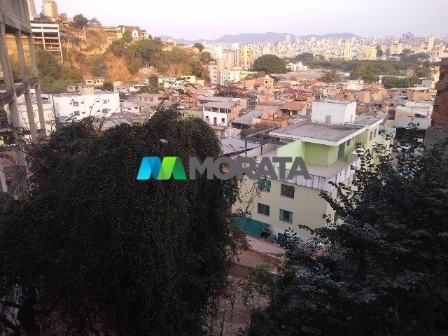 Imagem da propriedade 21