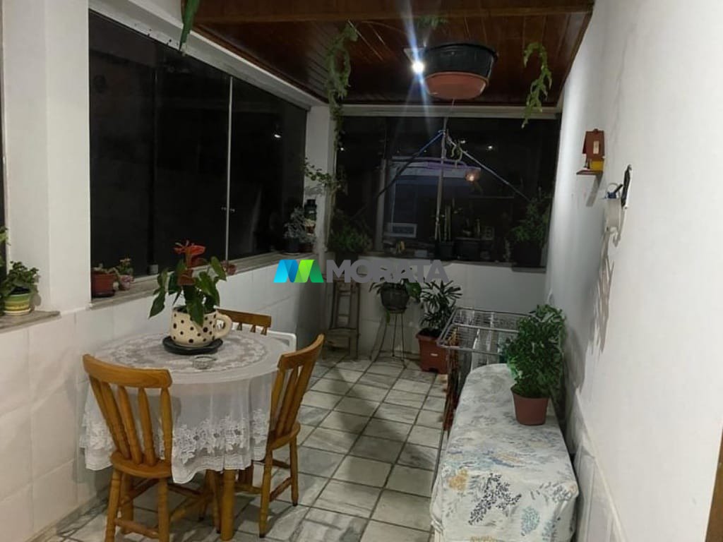 Imagem da propriedade 12
