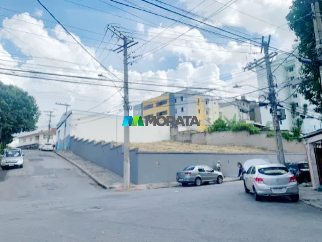 Imagem da propriedade 7
