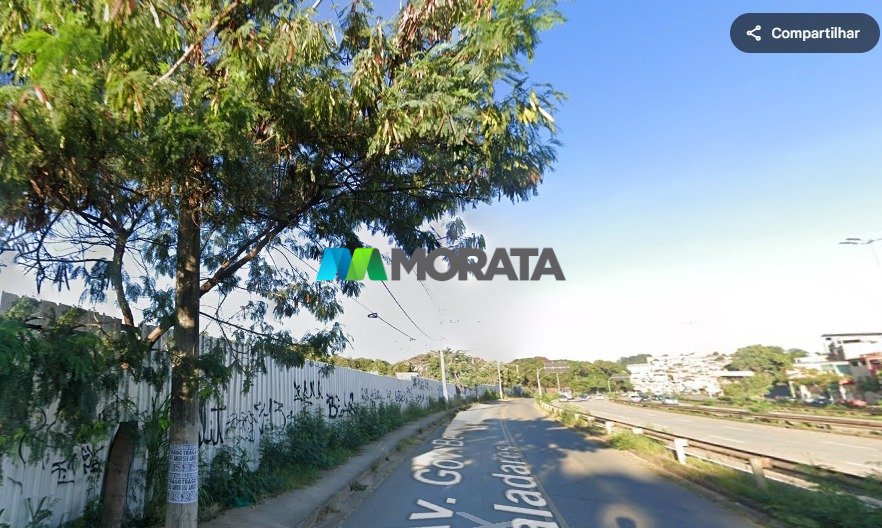 Imagem da propriedade 7