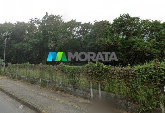 Imagem da propriedade 5