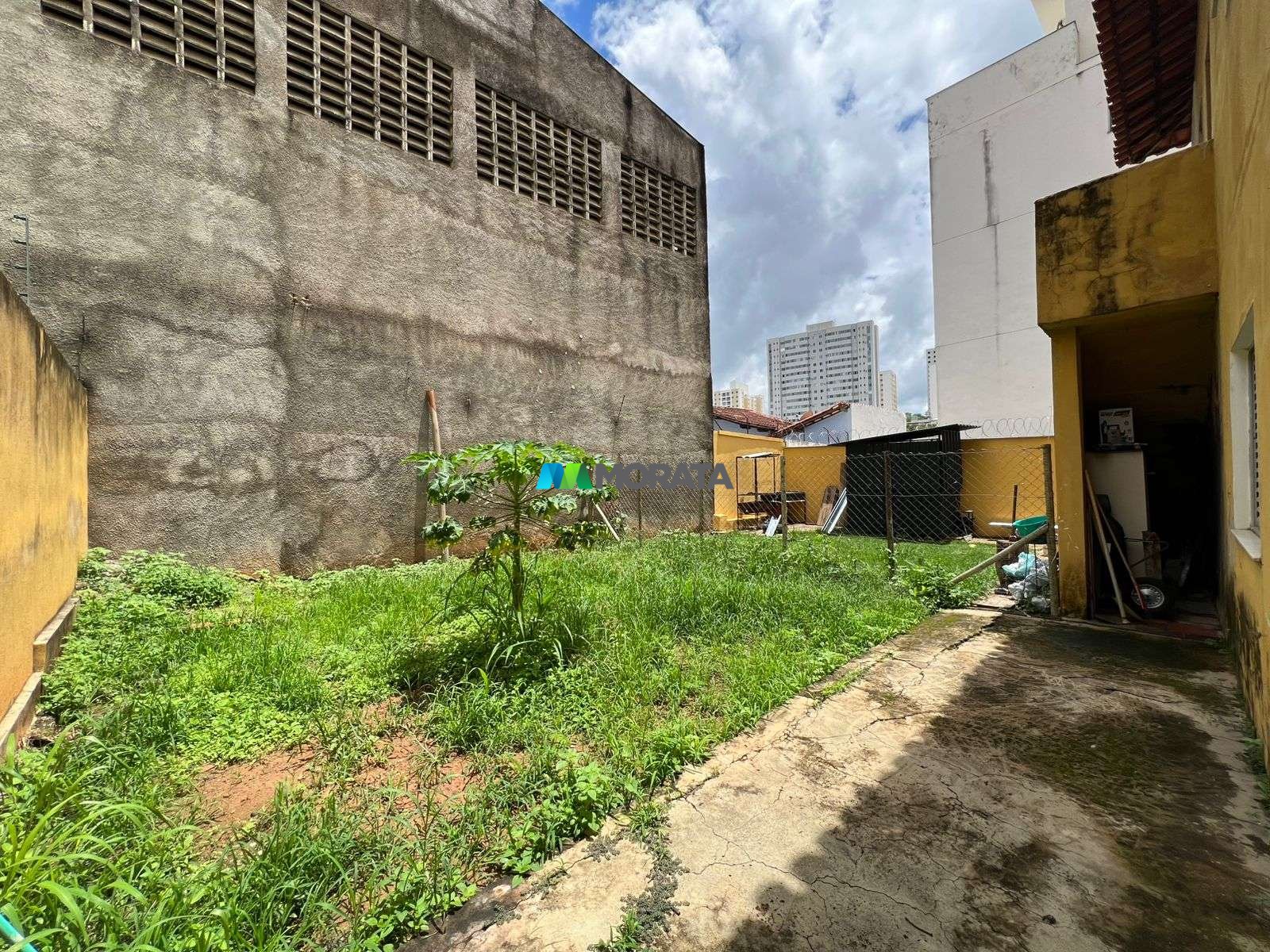 Imagem da propriedade 25