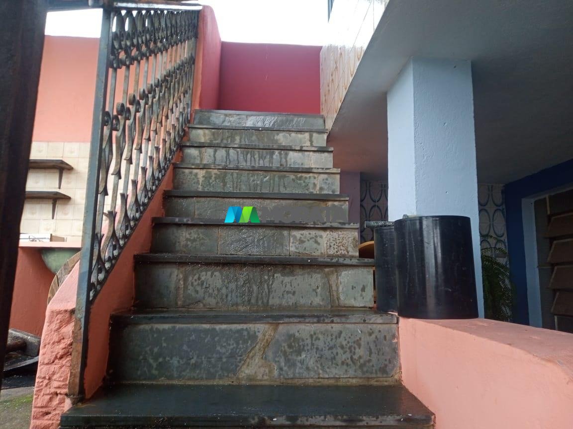 Imagem da propriedade 7