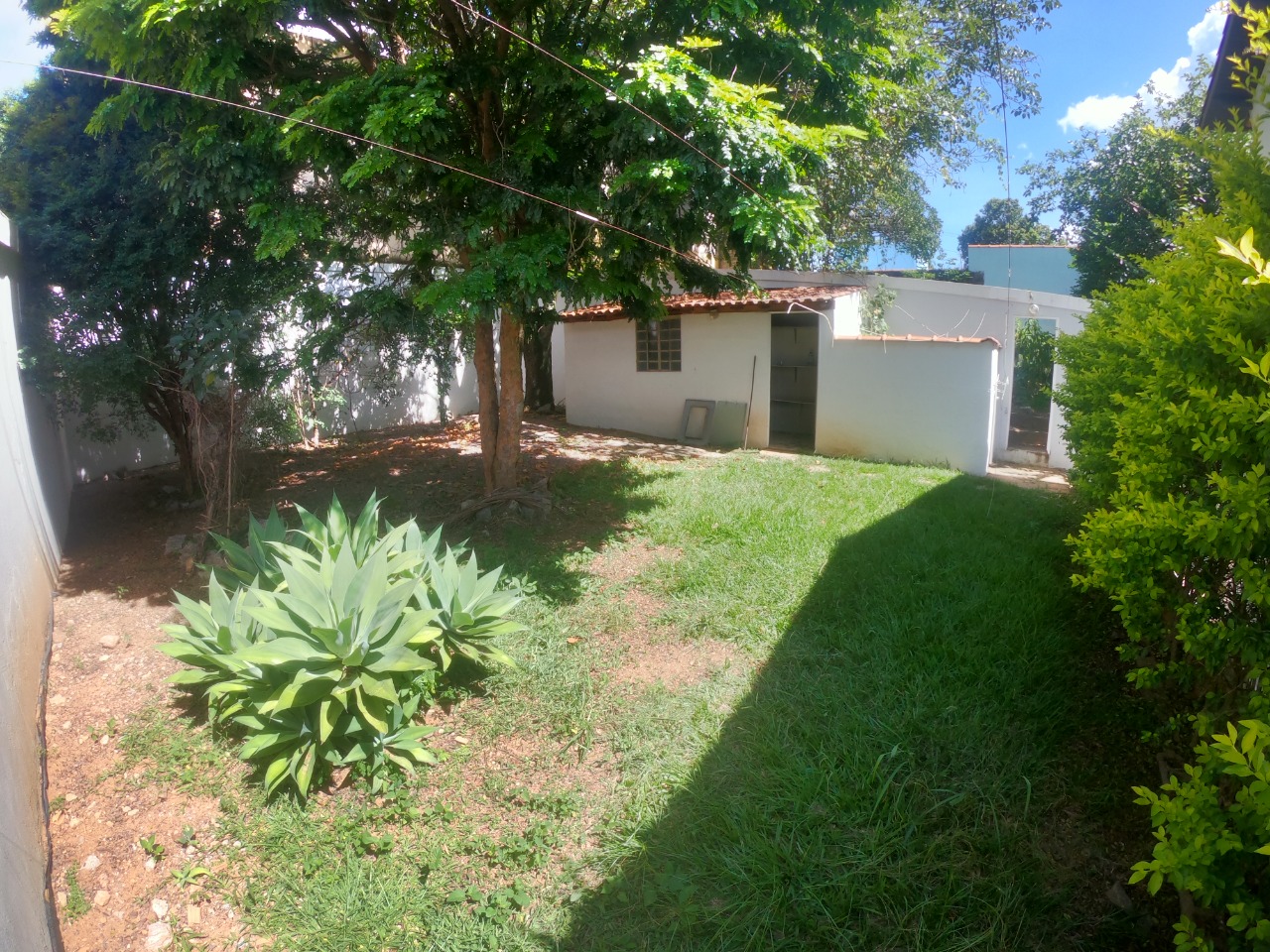 Imagem da propriedade 26