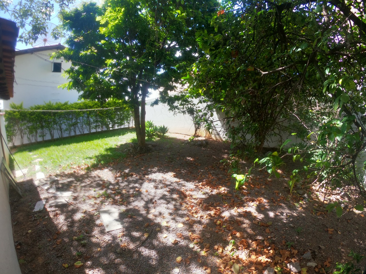 Imagem da propriedade 28