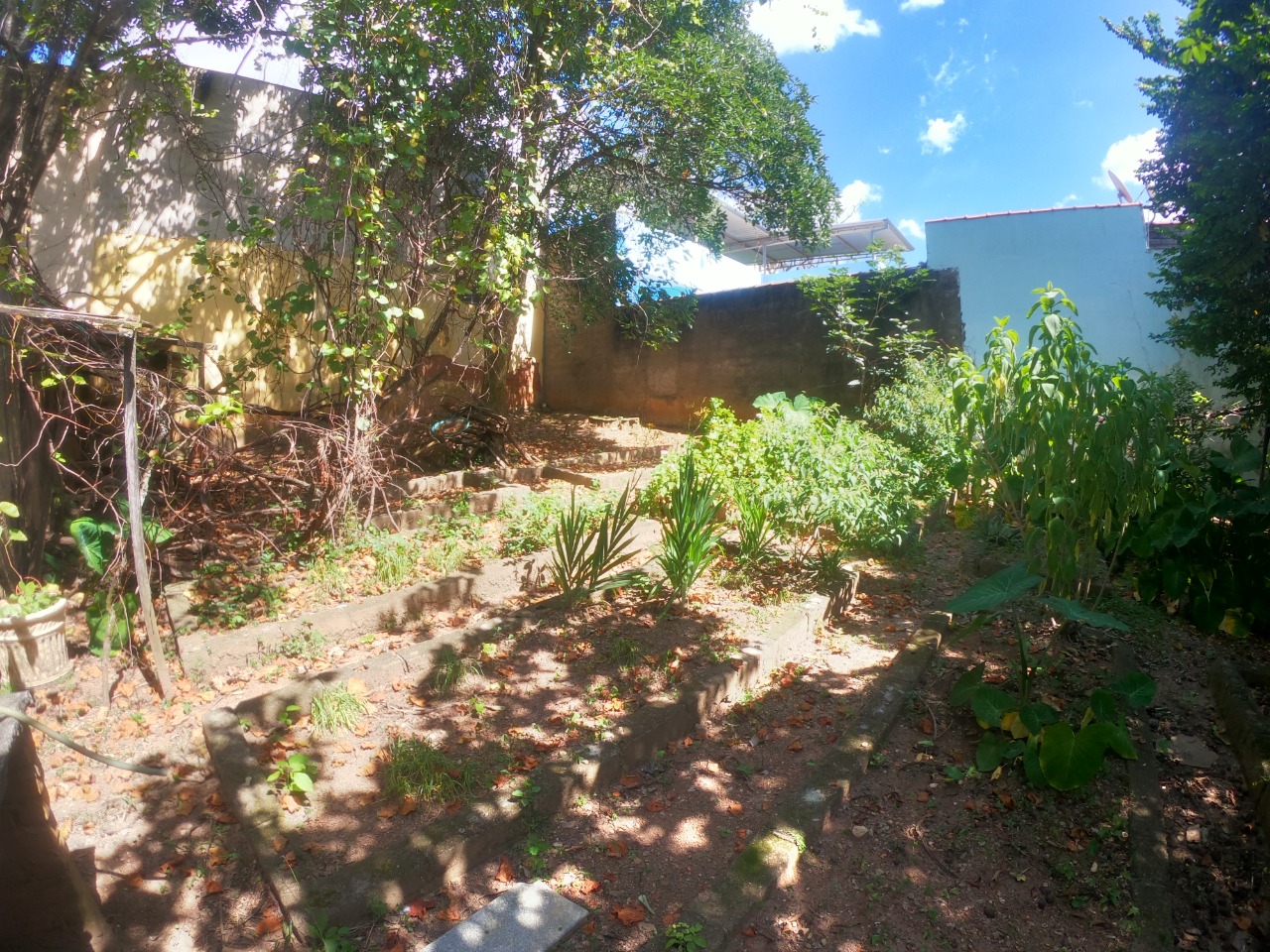 Imagem da propriedade 30