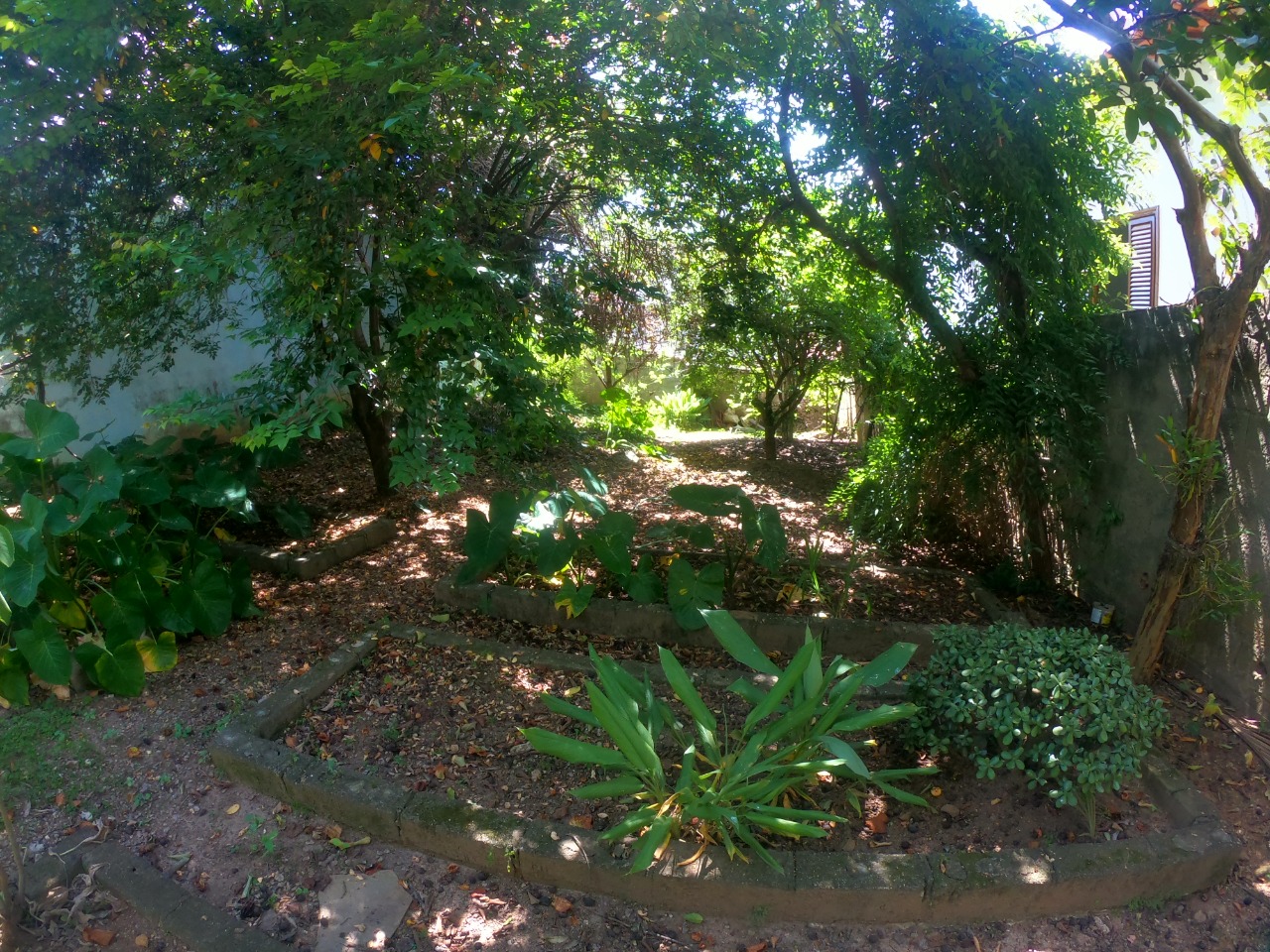 Imagem da propriedade 31