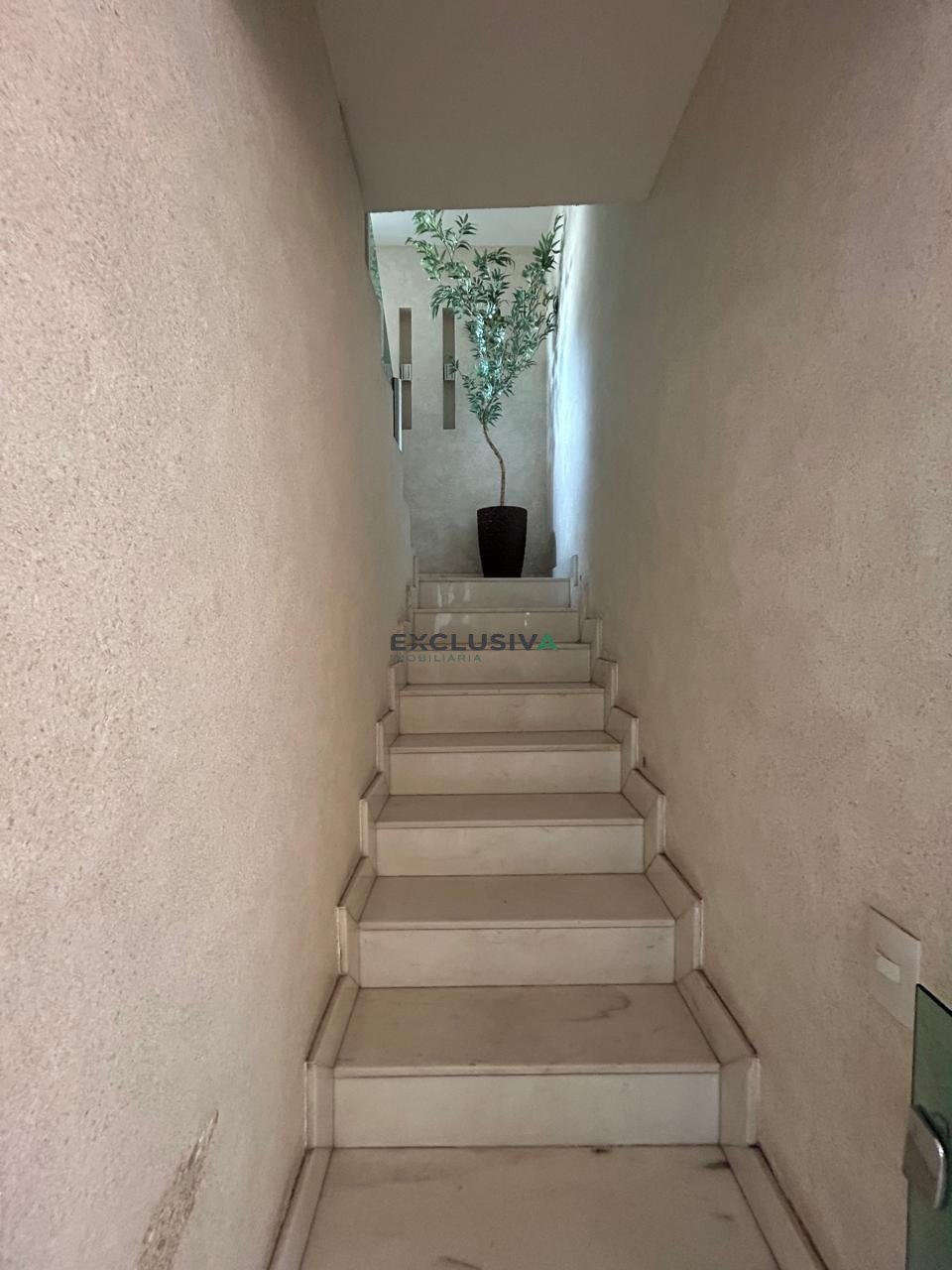 Imagem da propriedade 8540 26