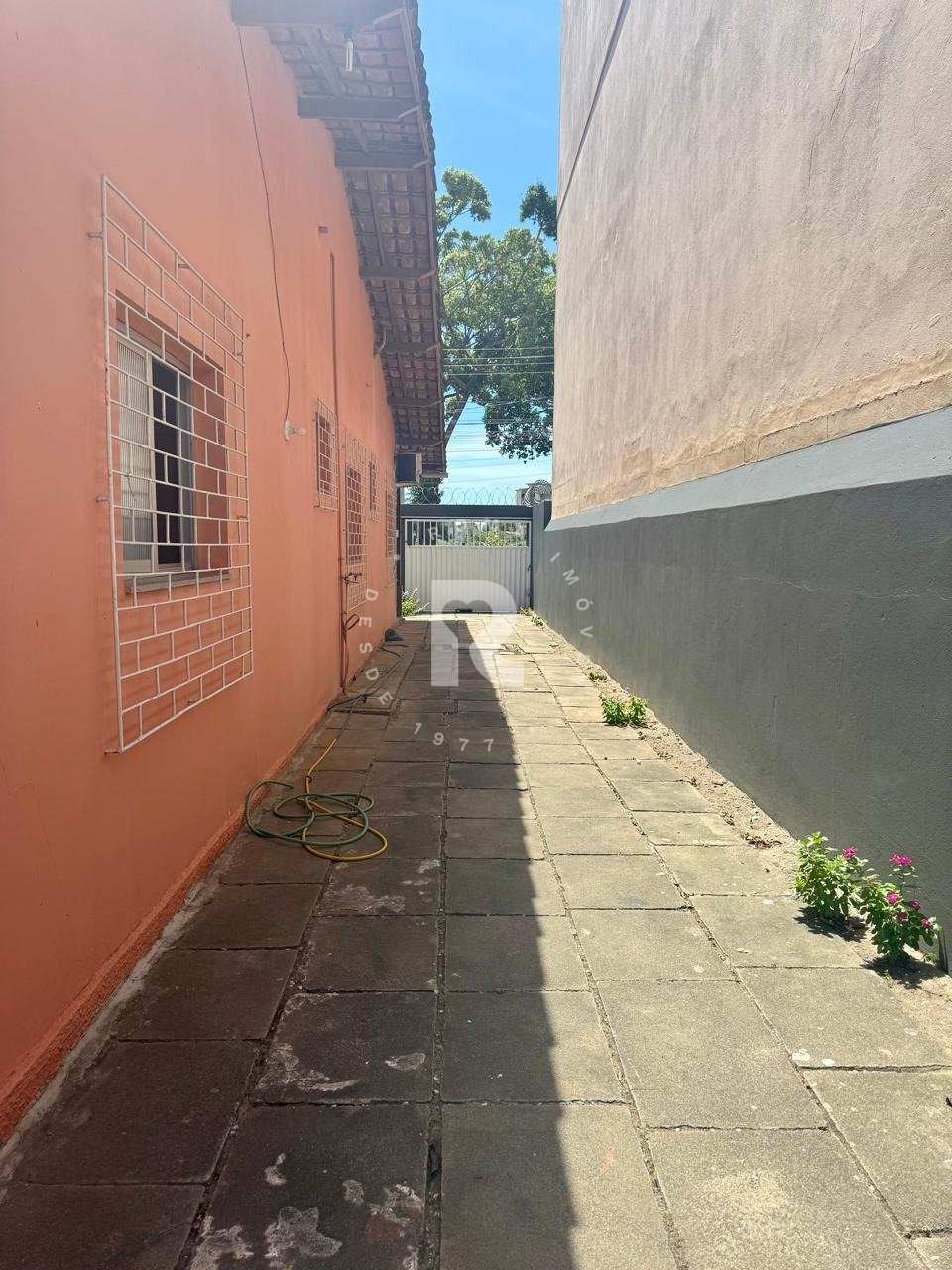 Imagem da propriedade 2670 19