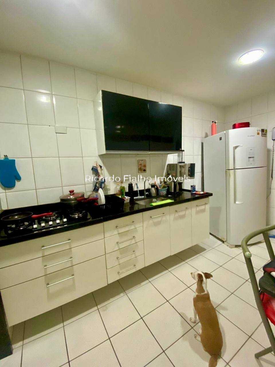 Imagem da propriedade 13