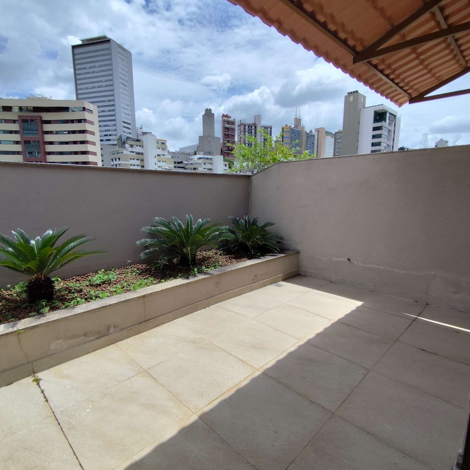Imagem da propriedade 3231786 6