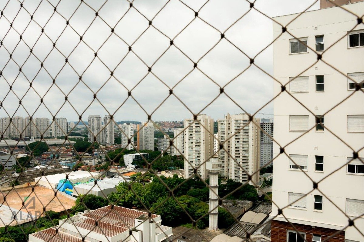 Imagem da propriedade 5