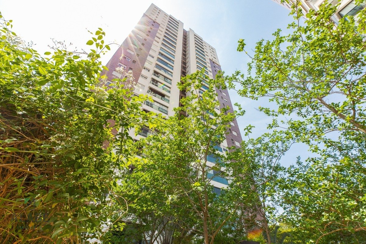 Imagem da propriedade 26