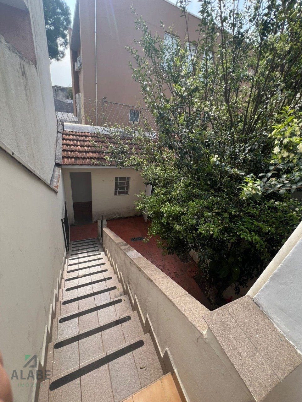 Imagem da propriedade 8