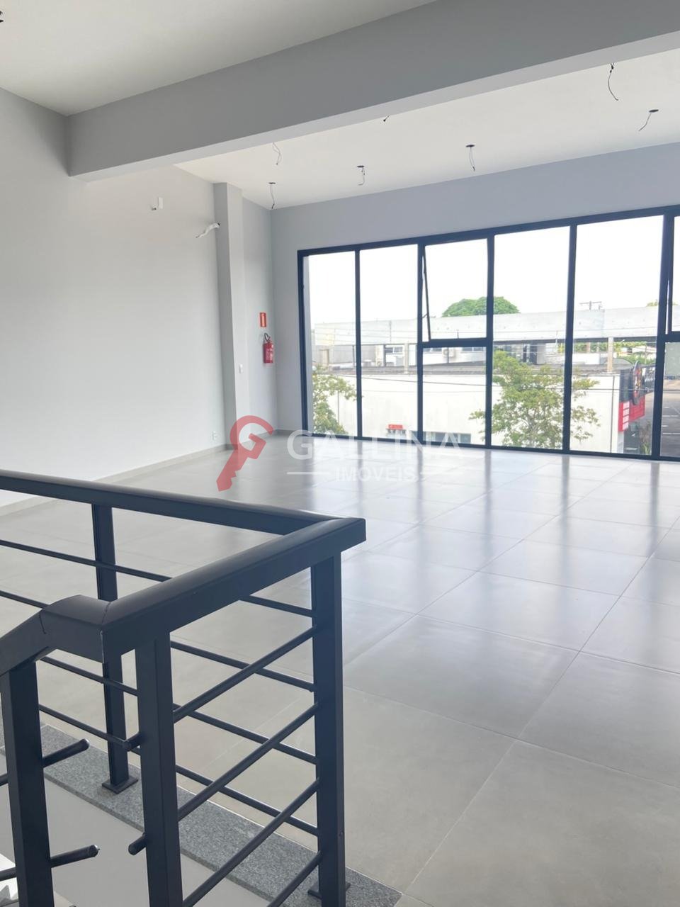 Imagem da propriedade 3