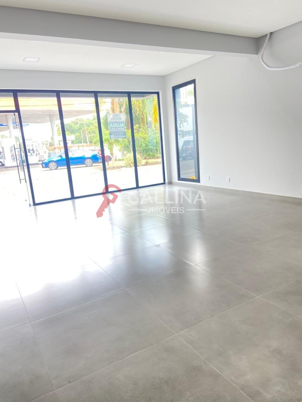 Imagem da propriedade 13