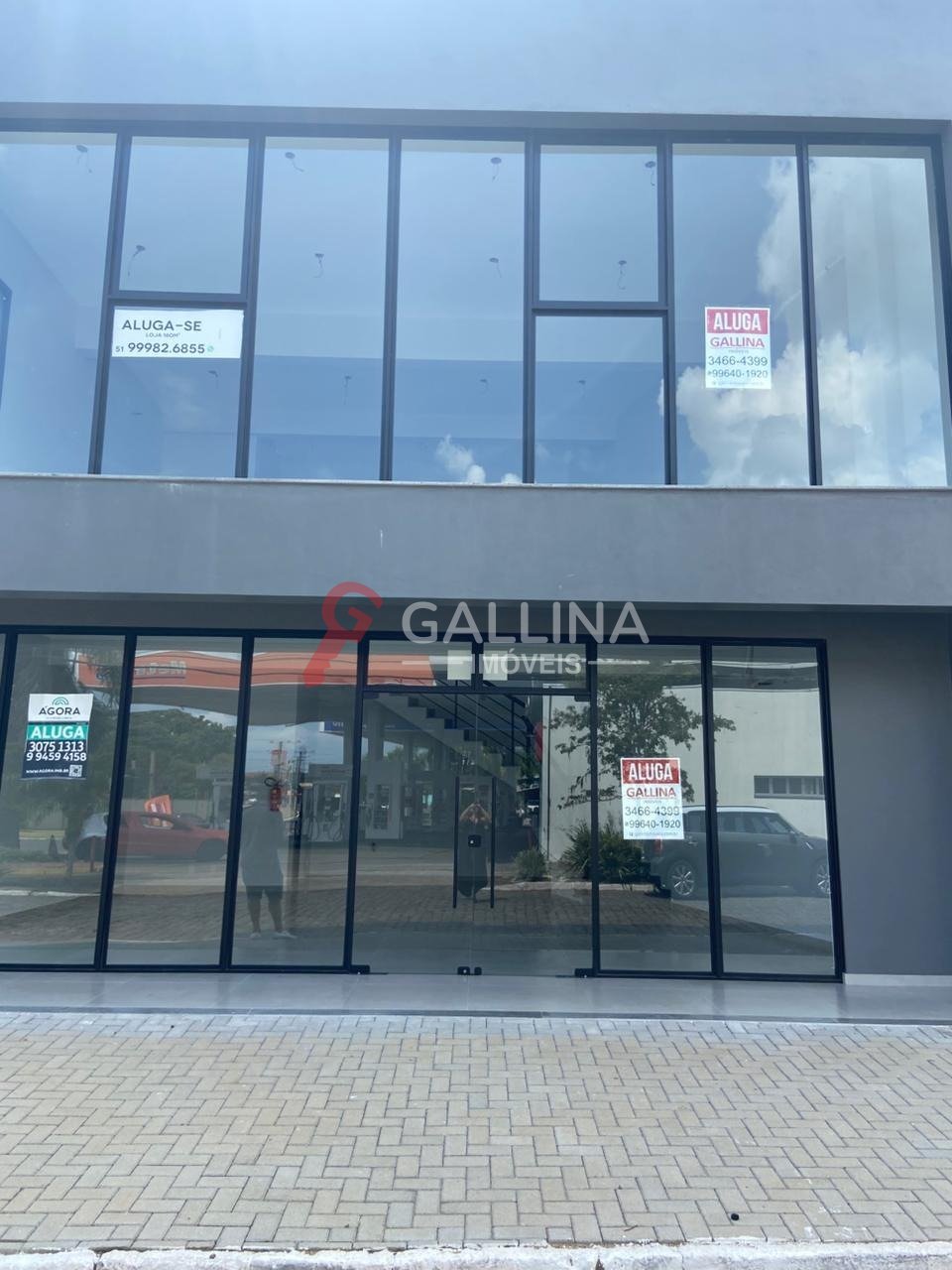 Imagem da propriedade 19