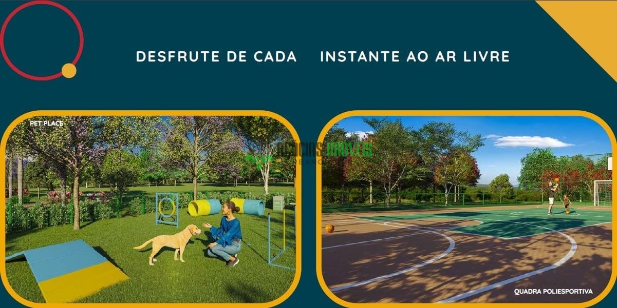 Imagem da propriedade 3