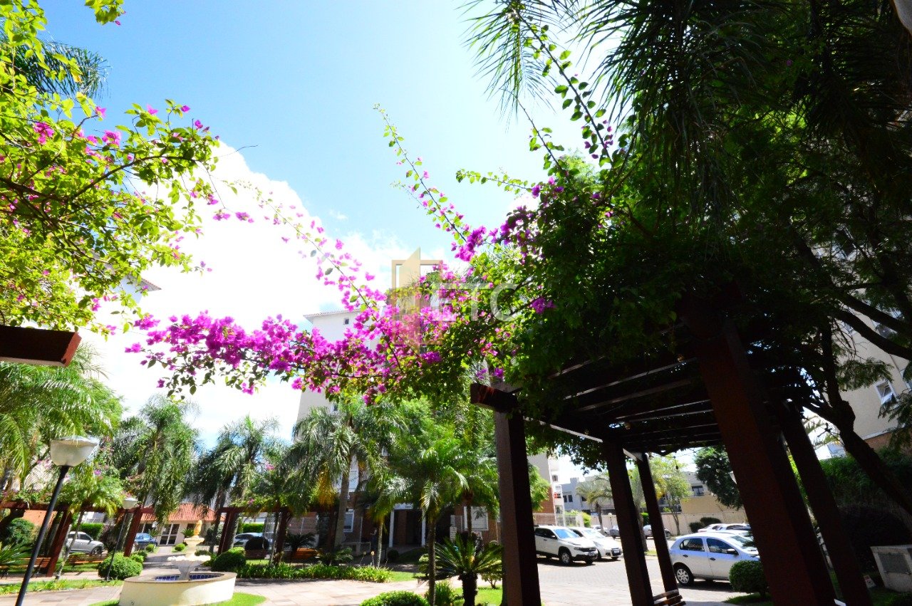 Imagem da propriedade 16