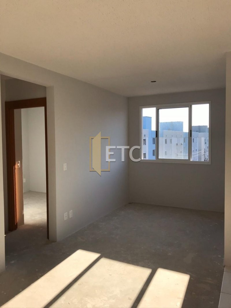 Imagem da propriedade 5