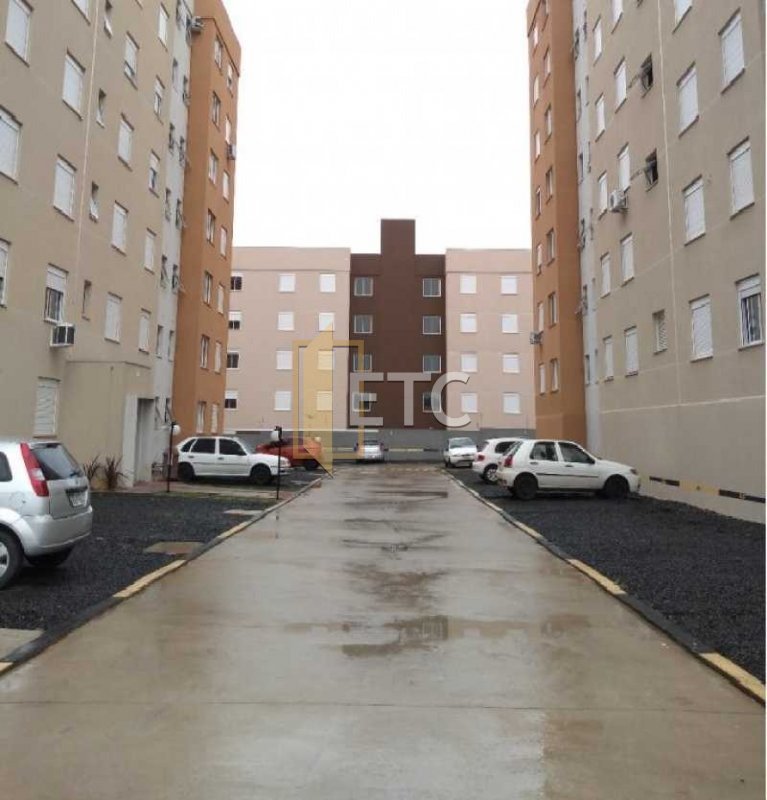 Imagem da propriedade 12