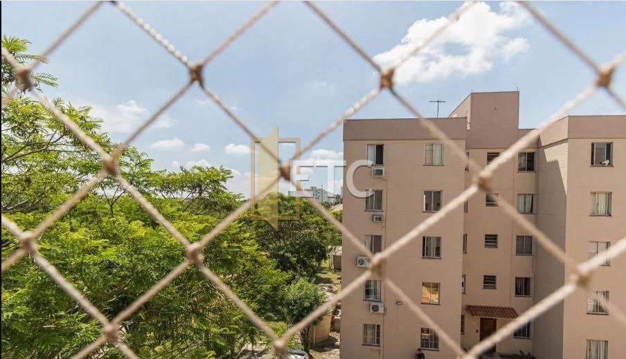 Imagem da propriedade 18