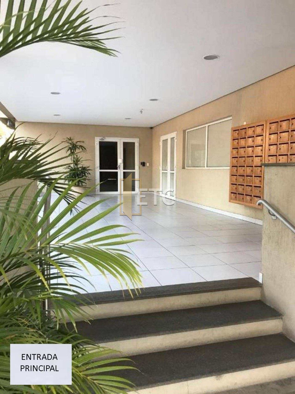 Imagem da propriedade 2