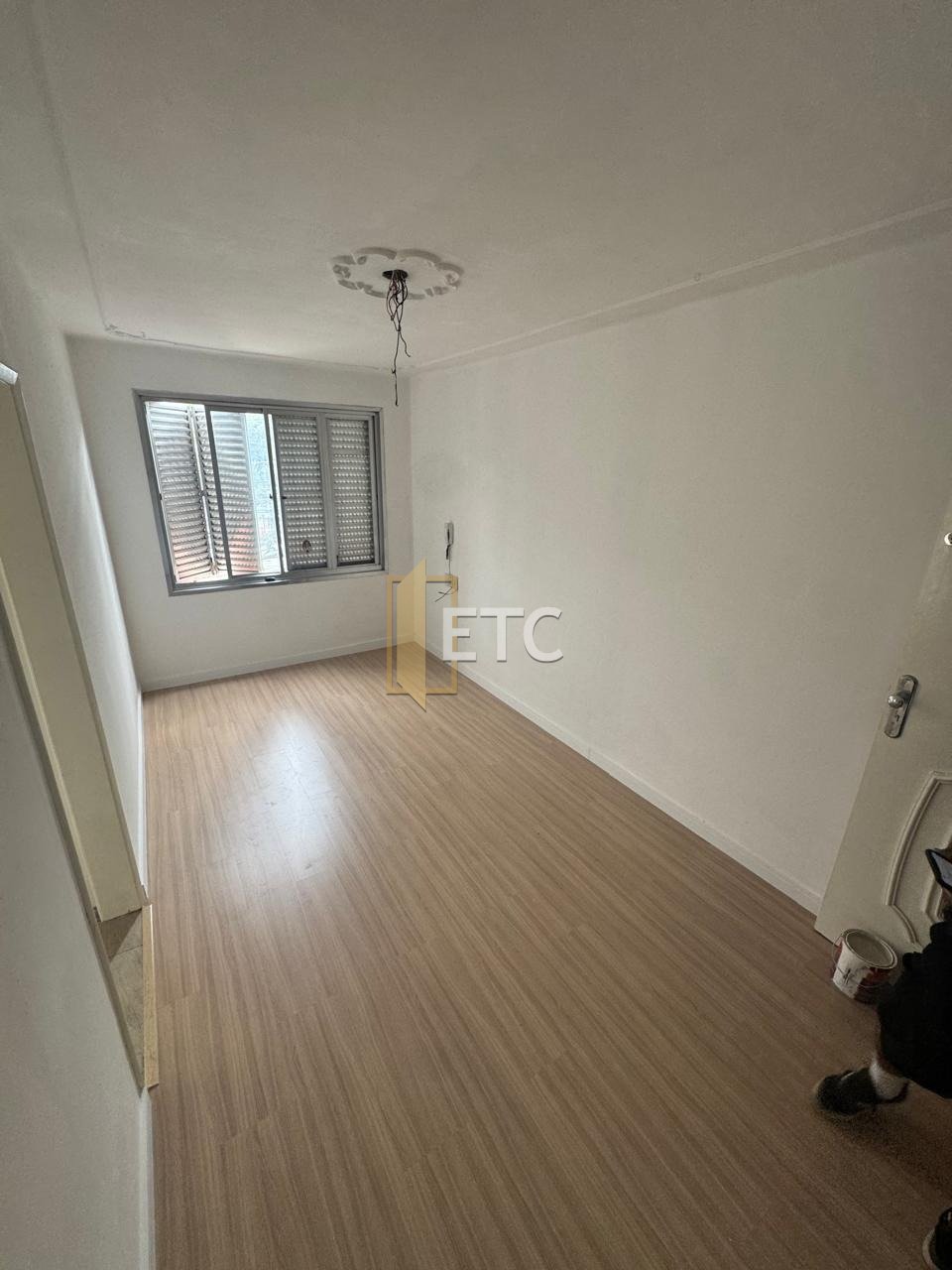 Imagem da propriedade 13