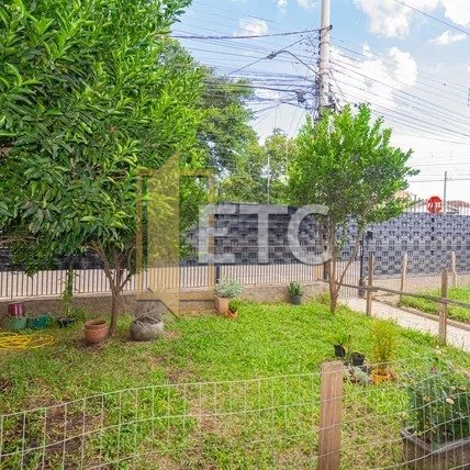 Imagem da propriedade 27