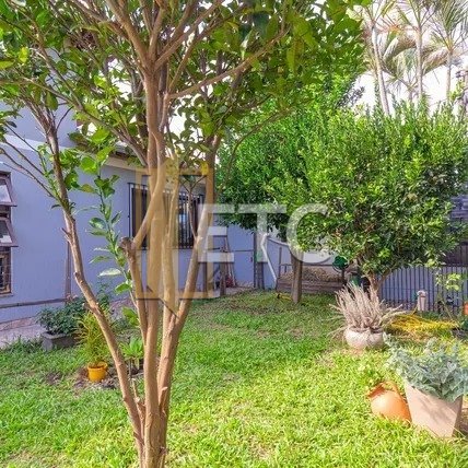 Imagem da propriedade 41