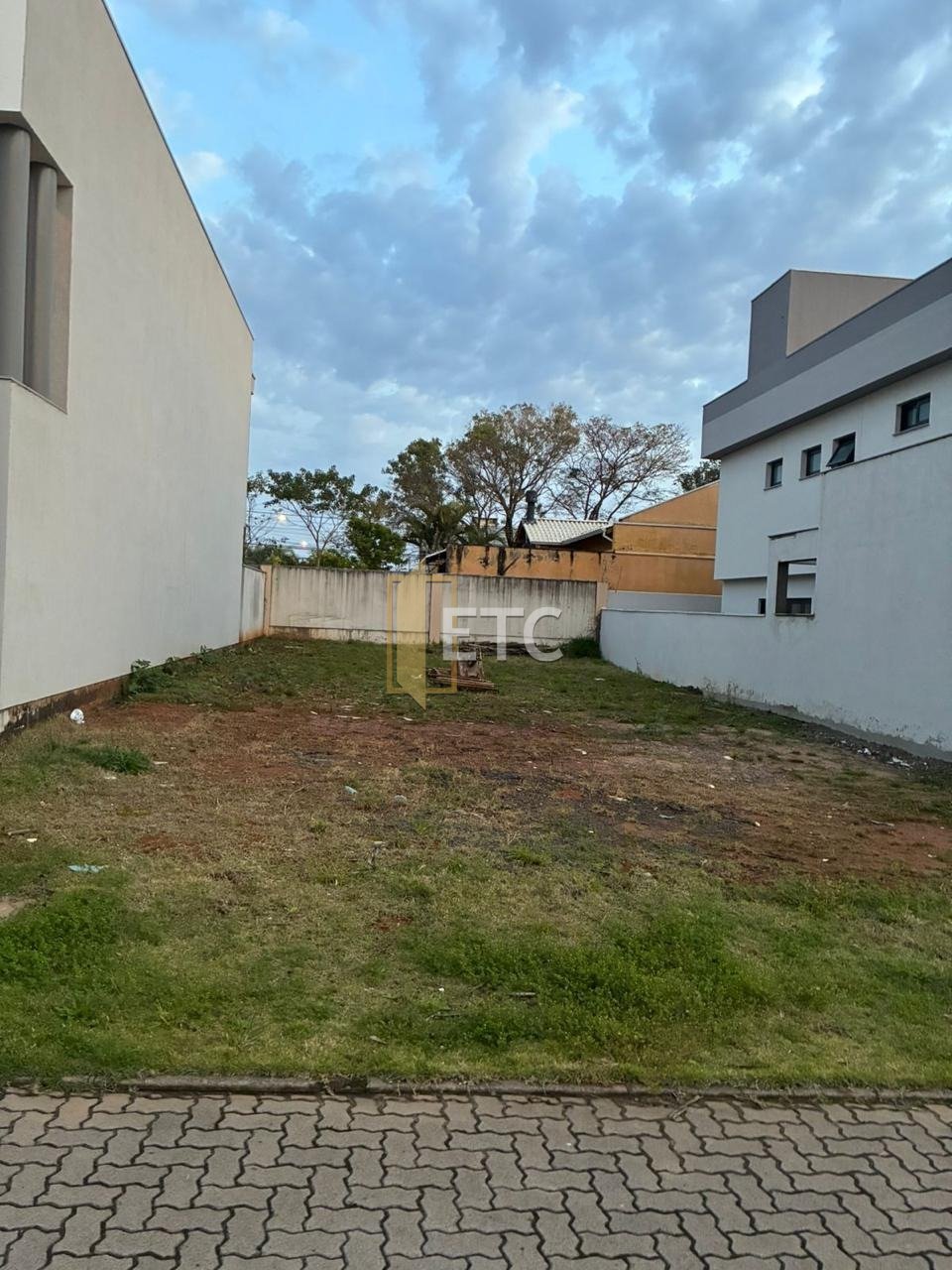 Imagem da propriedade 5